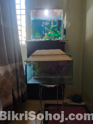 2 ti aquarium 15 ti gold